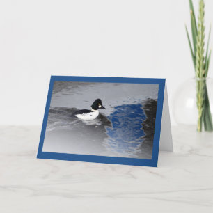 Goldeneye Duck Karte