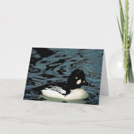Goldeneye Duck Karte