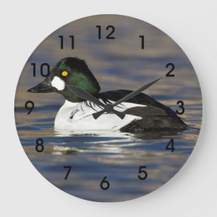 Goldeneye-Ente Große Wanduhr