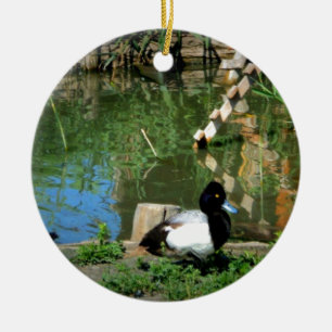 Goldeneyeente in dem Teich Keramikornament