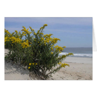 Goldenrod am Meer