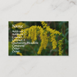 Goldenrod Carte de visite de la photographie de la