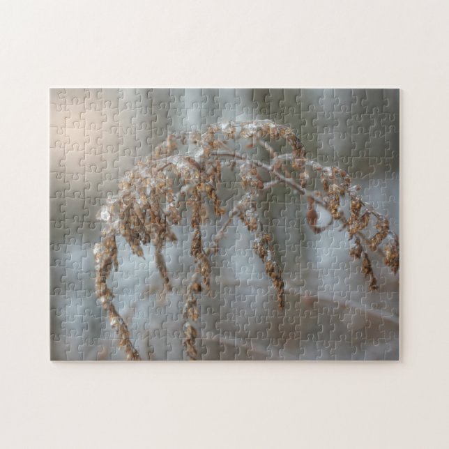 Goldenrod nach dem Eissturm Natur (Horizontal)