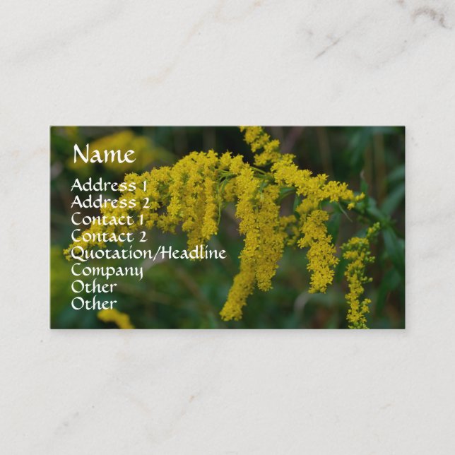 Goldenrod Nature Fotografy Business Card Visitenkarte (Vorderseite)