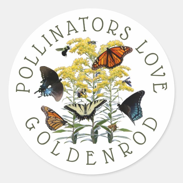 Goldenrod Solidago Wildblume und Pollinatoren Runder Aufkleber (Vorderseite)