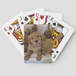 Goldens in einer Badewanne Spielkarten