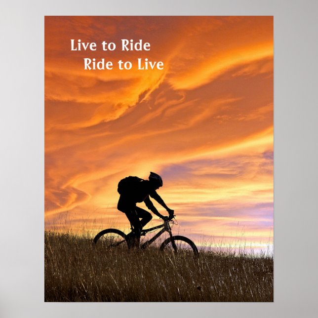 Goldfelder Poster (Vorne)