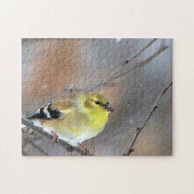 Goldfinch (Horizontal)