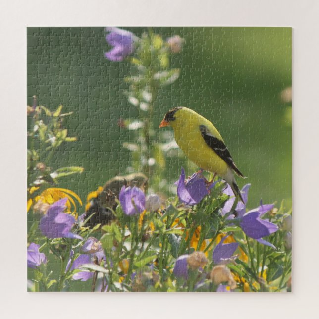 Goldfinch auf einer Harebell-Blume (Vertikal)
