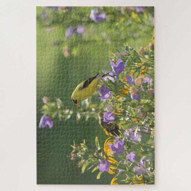Goldfinch auf einer Harebell-Blume (Vertikal)