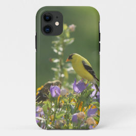 Goldfinch auf einer Harebell-Blume Case-Mate iPhone Hülle