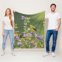 Goldfinch auf einer Harebell-Blume