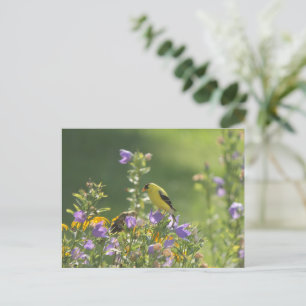 Goldfinch auf einer Harebell-Blume Postkarte