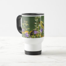 Goldfinch auf einer Harebell-Blume