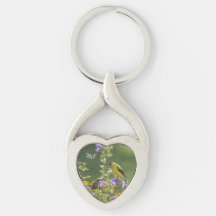 Goldfinch auf einer Harebell-Blume