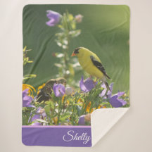 Goldfinch auf einer Harebell-Blume