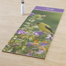 Goldfinch auf einer Harebell-Blume