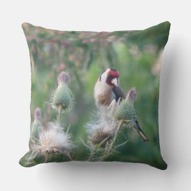 Goldfinch auf Fluffy Thistle Throw Kissen (Vorderseite)