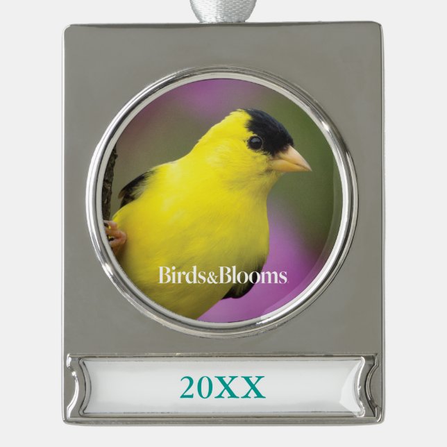Goldfinch Banner-Ornament Silber (Vorderseite)