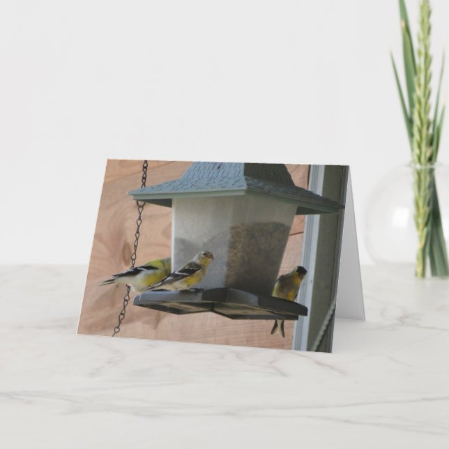 Goldfinch/Beifall Karte (Vorderseite)