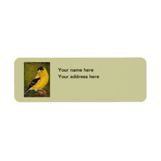Goldfinch Bird Art Étiquette de adresse