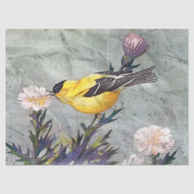 Goldfinch Bird Decoupage Tissue Paper Seidenpapier (Vorderseite)