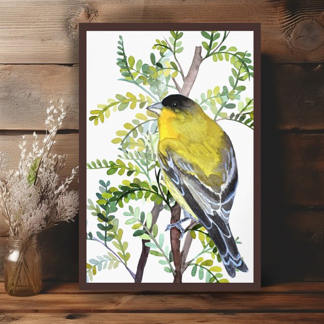 Goldfinch Bird in der Wüste Wasserfarben Kunst Poster (Goldfinch Bird in Desert Watercolor Art Poster
Wall Art Painting)