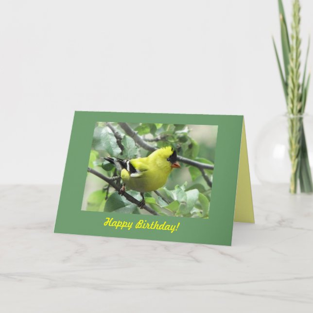 Goldfinch Birthday Karte (Vorderseite)