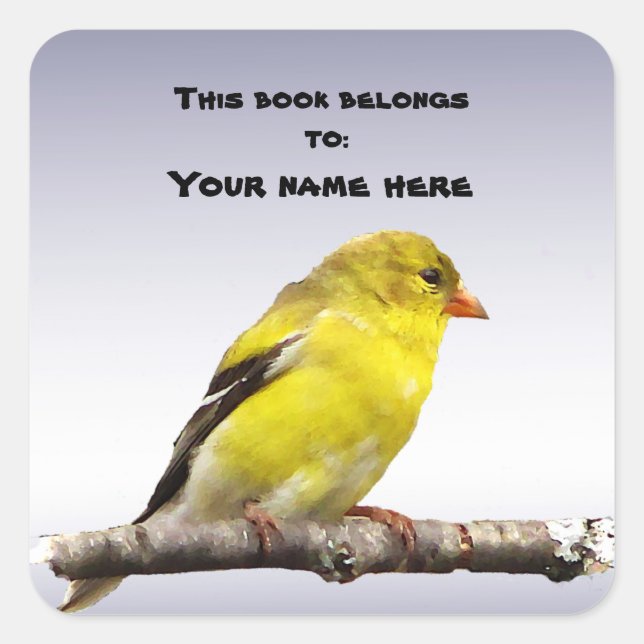 Goldfinch-Buchzeichen Quadratischer Aufkleber (Vorderseite)