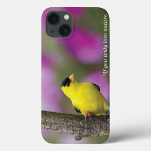 Goldfinch iPhone 13 Hülle