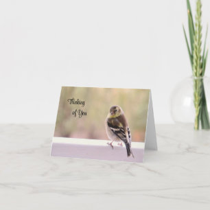 Goldfinch - Denken Sie an Ihre Karte