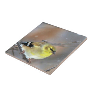 Goldfinch Fliese