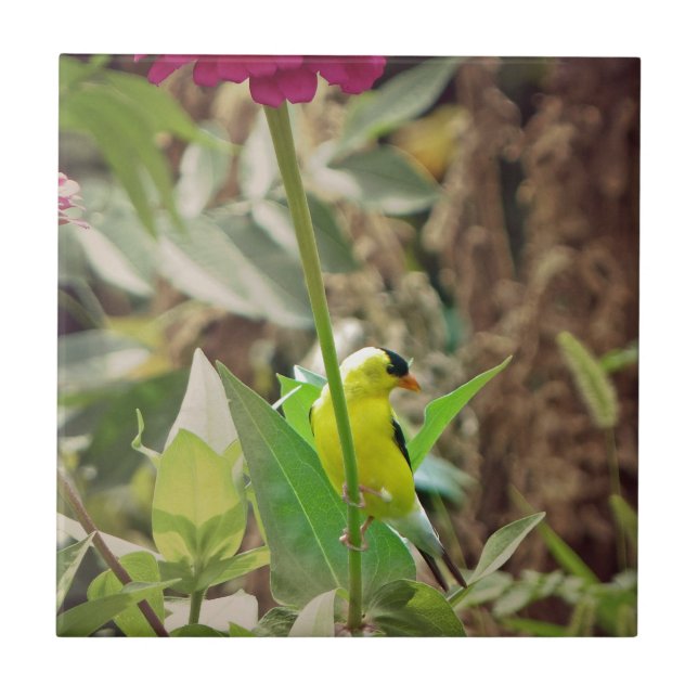 Goldfinch Fliese (Vorderseite)
