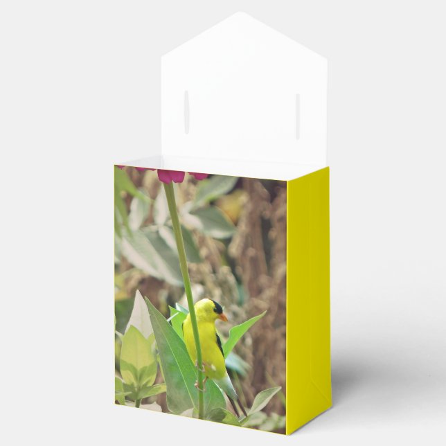Goldfinch Geschenkschachtel (Geöffnet)