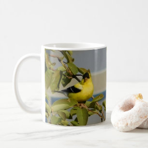 Goldfinch Glee Tasse