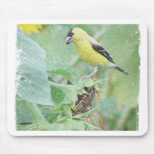 Goldfinch Grunge Mousepad