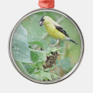 Goldfinch Grunge Ornament Aus Metall