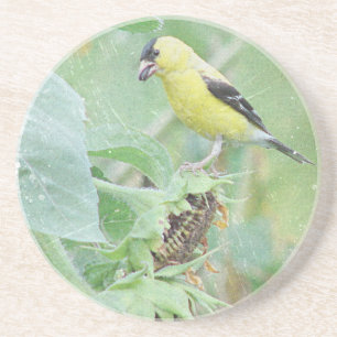 Goldfinch Grunge Untersetzer