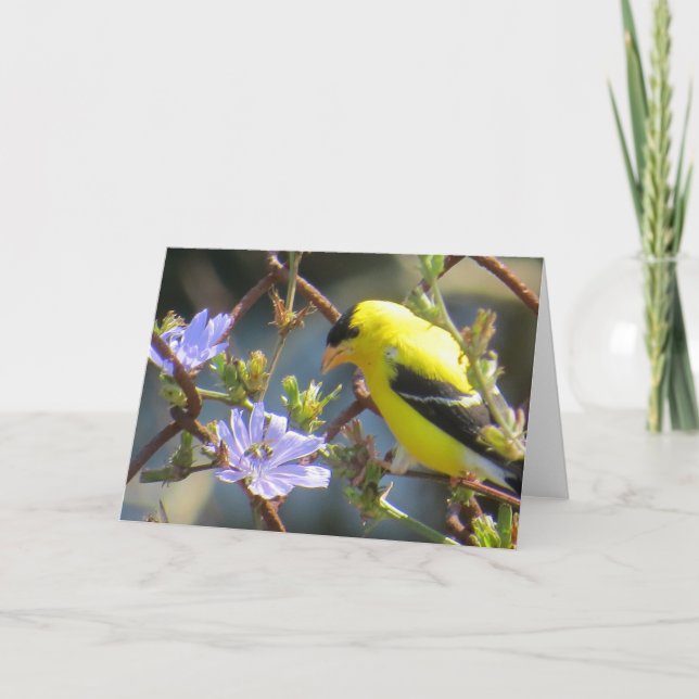 Goldfinch-Grußkarte Karte (Vorderseite)
