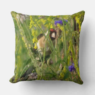 Goldfinch in der Wildnis-Blume-Feldwurzel Kissen
