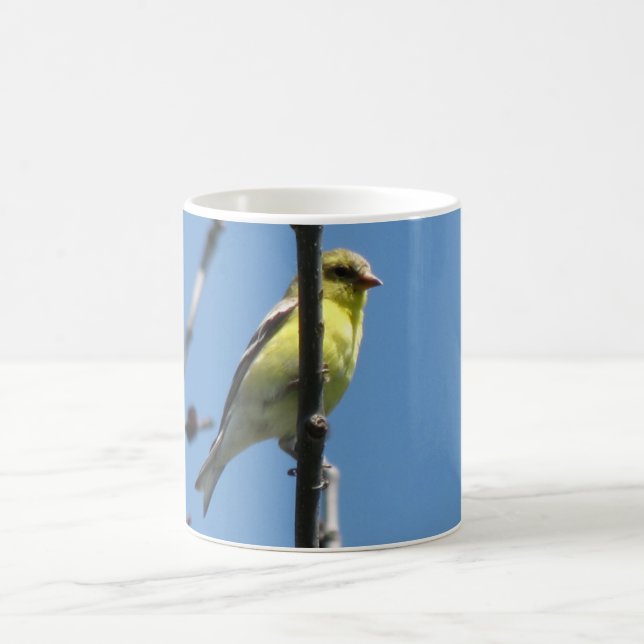 Goldfinch in einem Baum Kaffeetasse (Mittel)