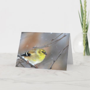 Goldfinch Karte