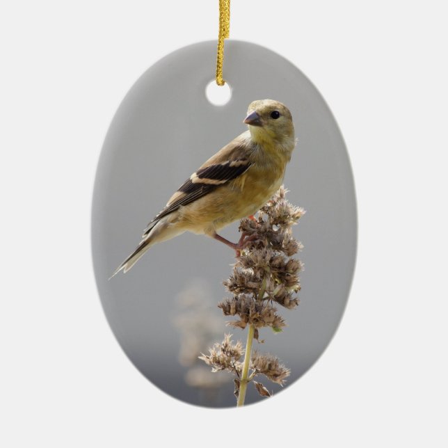 Goldfinch Keramik Ornament (Vorne)