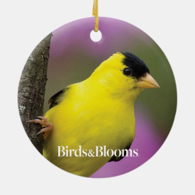 Goldfinch Keramik Ornament (Hinten)