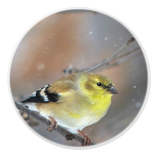 Goldfinch Keramikknauf