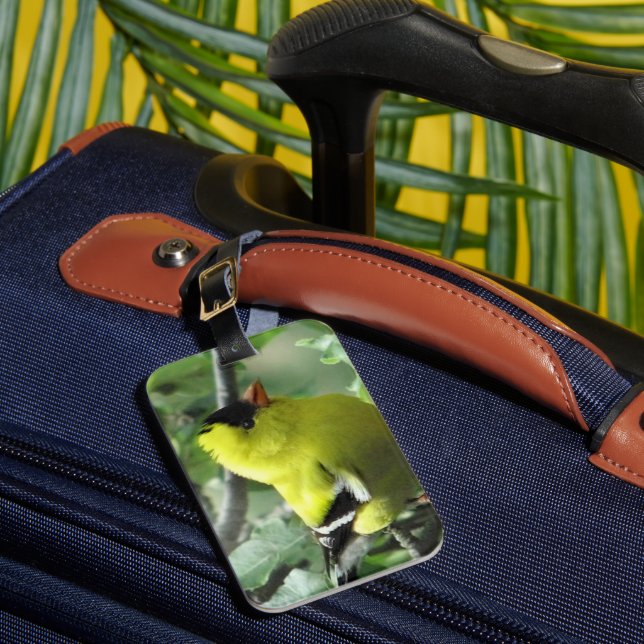 Goldfinch Luggage Tag Gepäckanhänger (Vorderseite Insitu 1)