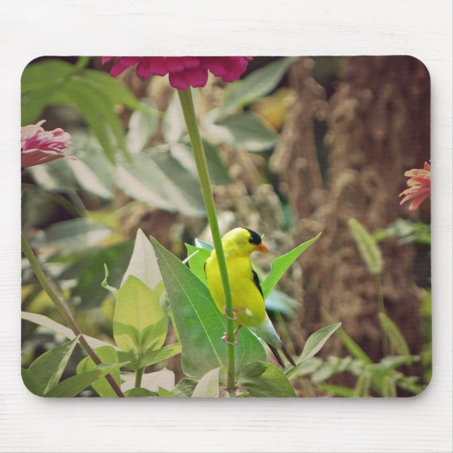 Goldfinch Mousepad (Vorne)
