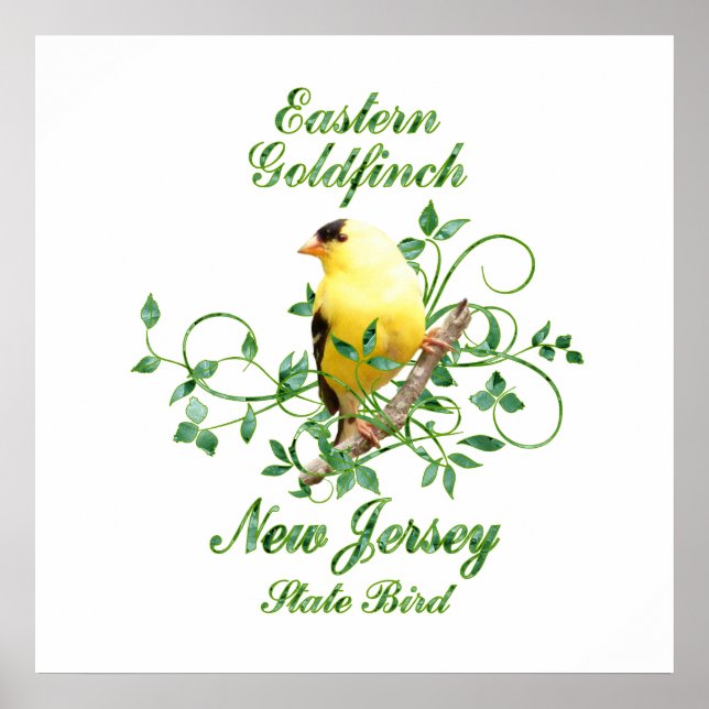 Goldfinch New Jersey State Bird Poster (Vorne)