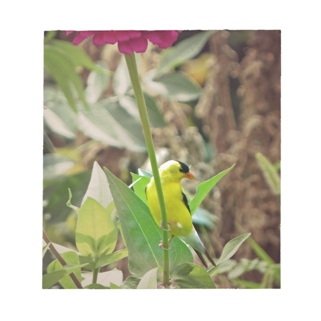 Goldfinch Notizblock (Vorderseite)