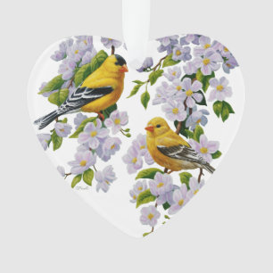 Goldfinch Oiseaux & Fleurs U-Pick Couleur Arrière 